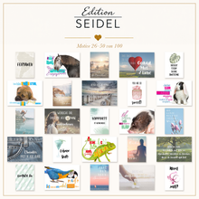 Laden Sie das Bild in den Galerie-Viewer, Edition Seidel Set 100 Postkarten mit Sprüchen. Spruchkarten Motivation Tiere lustig Leben Liebe Freundschaft Geschenk Deko Postcrossing 100 verschiedene Motive (36706)