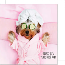 Laden Sie das Bild in den Galerie-Viewer, Edition Seidel Premium quadratische Geburtstagskarte mit Umschlag. Glückwunschkarte Happy Birthday Billet Karte mit Spruch für Frau Freundin Relax Hund (GQ294 SW024)