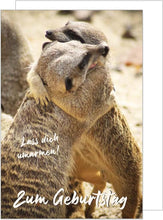 Laden Sie das Bild in den Galerie-Viewer, Edition Seidel Premium Geburtstagskarte mit Umschlag. Glückwunschkarte Grusskarte Billet Geburtstag Happy Birthday Mann Frau einzelne eine Sprüche Karte Erdmännchen (G3129 SW022)