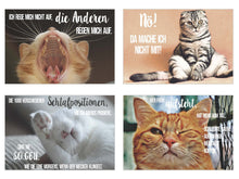 Laden Sie das Bild in den Galerie-Viewer, Edition Seidel Set 20 Katzen Postkarten mit lustigen Sprüchen (20316)