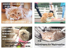 Laden Sie das Bild in den Galerie-Viewer, Edition Seidel Set 20 Katzen Postkarten mit lustigen Sprüchen - Karten mit Spruch - verrückte Katzen - Geburtstag - Motivation