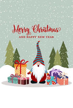 Laden Sie das Bild in den Galerie-Viewer, Edition Seidel Set 5 Premium Weihnachtskarten mit Briefumschlag - Karten Weihnachten Postkarten (21791)