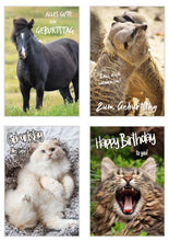 Laden Sie das Bild in den Galerie-Viewer, Edition Seidel Set 20 exklusive Premium Geburtstagskarten mit Umschlag Glückwunschkarte Grusskarte zum Geburtstag Geburtstagskarte Katzen Hunde Tiere Karten Happy Birthday (SW02) (21238)