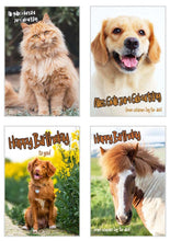 Laden Sie das Bild in den Galerie-Viewer, Edition Seidel Set 20 exklusive Premium Geburtstagskarten mit Umschlag Glückwunschkarte Grusskarte zum Geburtstag Geburtstagskarte Katzen Hunde Tiere Karten Happy Birthday (SW02) (21238)