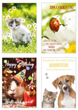 Laden Sie das Bild in den Galerie-Viewer, Edition Seidel Set 20 exklusive Premium Geburtstagskarten mit Umschlag Glückwunschkarte Grusskarte zum Geburtstag Geburtstagskarte Katzen Hunde Tiere Karten Happy Birthday (SW02) (21238)