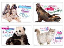 Laden Sie das Bild in den Galerie-Viewer, Edition Seidel Set 25 Postkarten lustige Tiere mit Sprüchen. Karten mit Spruch. Hund Katze Pferd coole Sprüche lustig Geburtstagskarten Postkarte (23003)