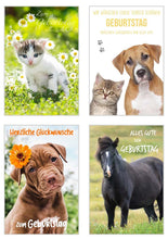 Laden Sie das Bild in den Galerie-Viewer, Edition Seidel Set exklusive Premium Geburtstagskarten mit Umschlag. Glückwunschkarte Grusskarte zum Geburtstag. Geburtstagskarte Blumen Frau Karten Billet Happy Birthday (SW02) (Set 2) (21243)