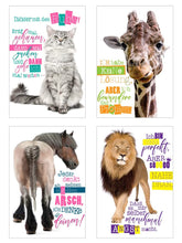 Laden Sie das Bild in den Galerie-Viewer, Edition Seidel Set 25 Postkarten lustige Tiere mit Sprüchen. Karten mit Spruch. Hund Katze Pferd coole Sprüche lustig Geburtstagskarten Postkarte (23003)