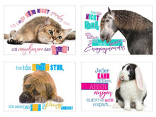 Laden Sie das Bild in den Galerie-Viewer, Edition Seidel Set 25 Postkarten lustige Tiere mit Sprüchen. Karten mit Spruch. Hund Katze Pferd coole Sprüche lustig Geburtstagskarten Postkarte (23003)