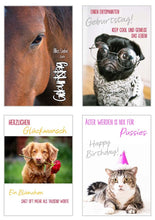 Laden Sie das Bild in den Galerie-Viewer, Edition Seidel Set 20 exklusive Premium Geburtstagskarten mit Umschlag Glückwunschkarte Grusskarte zum Geburtstag Geburtstagskarte Katzen Hunde Tiere Karten Happy Birthday (SW02) (21238)