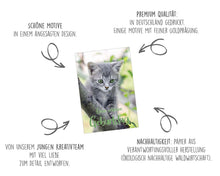Laden Sie das Bild in den Galerie-Viewer, Edition Seidel Set 20 exklusive Premium Geburtstagskarten mit Umschlag Glückwunschkarte Grusskarte zum Geburtstag Geburtstagskarte Katzen Hunde Tiere Karten Happy Birthday (SW02) (21238)