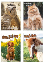 Laden Sie das Bild in den Galerie-Viewer, Edition Seidel Set exklusive Premium Geburtstagskarten mit Umschlag. Glückwunschkarte Grusskarte zum Geburtstag. Geburtstagskarte Blumen Frau Karten Billet Happy Birthday (SW02)