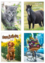 Laden Sie das Bild in den Galerie-Viewer, Edition Seidel Set 20 exklusive Premium Geburtstagskarten mit Umschlag. Glückwunschkarte Grusskarte zum Geburtstag. Geburtstagskarte Mann Frau Karten Billet Happy Birthday (SW02)