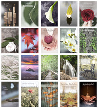 Laden Sie das Bild in den Galerie-Viewer, Edition Seidel Set 20 Premium Trauerkarten / Beileidskarten mit Umschlag. Trauerkarte Beileidskarte mit Spruch schreiben (Doppelkarten/Klappkarten mit Briefumschlag) (SW02) (21252)