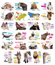Laden Sie das Bild in den Galerie-Viewer, Edition Seidel Set 25 Postkarten lustige Tiere mit Sprüchen. Karten mit Spruch. Hund Katze Pferd coole Sprüche lustig Geburtstagskarten Postkarte (23003)