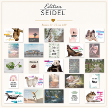 Laden Sie das Bild in den Galerie-Viewer, Edition Seidel Set 100 Postkarten mit Sprüchen. Spruchkarten Motivation Tiere lustig Leben Liebe Freundschaft Geschenk Deko Postcrossing 100 verschiedene Motive (36706)
