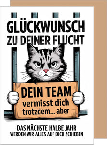 Edition Seidel Premium Glückwunschkarte zum Abschied mit Umschlag. Abschiedskarte mit Spruch. Katze im Gefängnis (AS149 SW025)