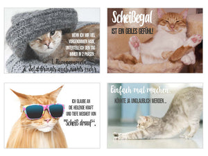 Set 20 Katzen Postkarten mit lustigen Sprüchen (20316)