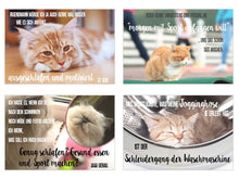 Laden Sie das Bild in den Galerie-Viewer, Set 20 Katzen Postkarten mit lustigen Sprüchen (20316)
