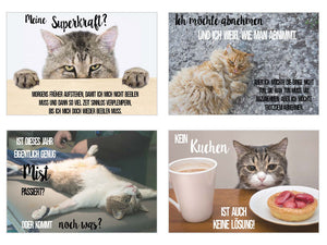 Set 20 Katzen Postkarten mit lustigen Sprüchen (20316)