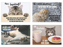 Laden Sie das Bild in den Galerie-Viewer, Edition Seidel Set 20 Katzen Postkarten mit lustigen Sprüchen - Karten mit Spruch - verrückte Katzen - Geburtstag - Motivation
