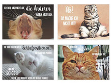 Laden Sie das Bild in den Galerie-Viewer, Edition Seidel Set 20 Katzen Postkarten mit lustigen Sprüchen - Karten mit Spruch - verrückte Katzen - Geburtstag - Motivation
