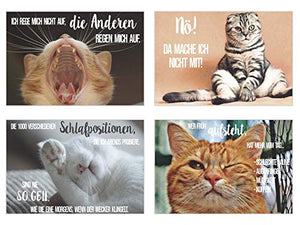 Edition Seidel Set 20 Katzen Postkarten mit lustigen Sprüchen - Karten mit Spruch - verrückte Katzen - Geburtstag - Motivation