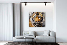 Laden Sie das Bild in den Galerie-Viewer, Edition Seidel Premium Wandbild Tiger Öl-Zeichnung auf hochwertiger Leinwand (40x40 cm) gerahmt. Leinwandbild Kunstdruck Bild stylish Wohnung Büro Loft Lounge Bar Galerie Lobby
