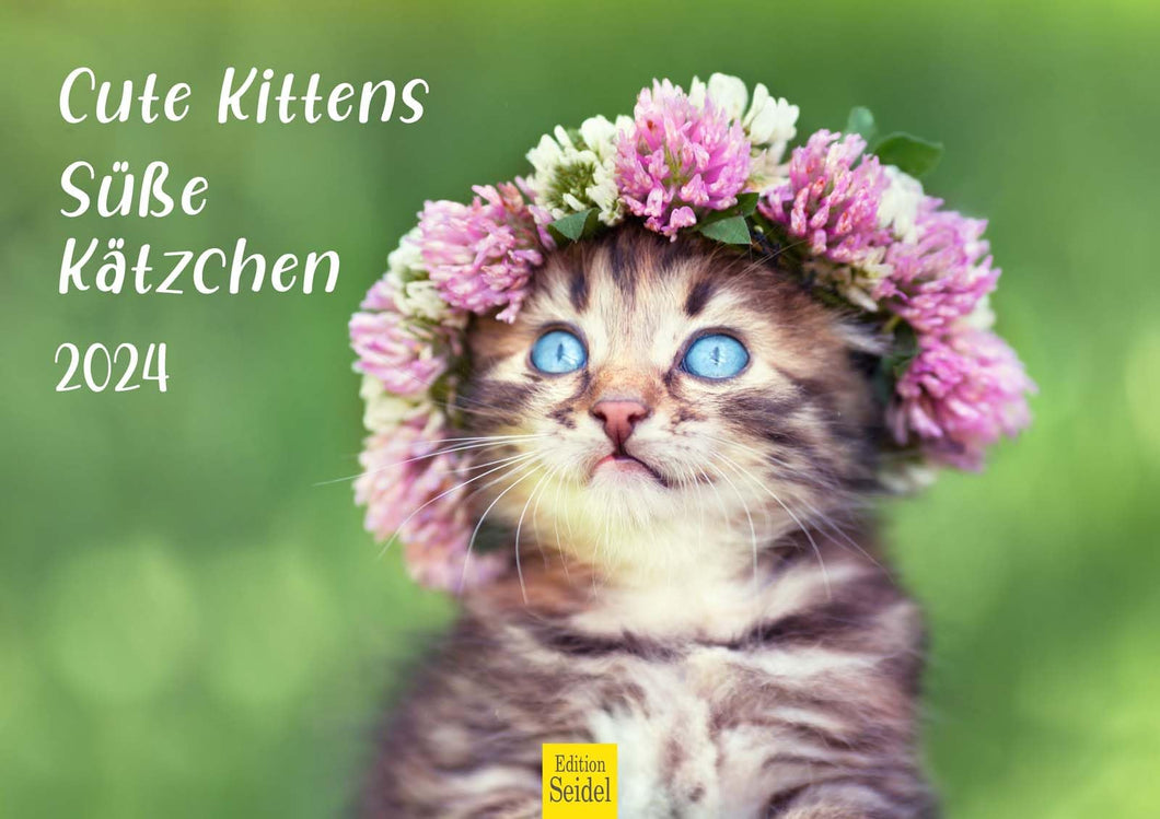 Edition Seidel Premium Kalender Süße Kätzchen 2024 Format DIN A3 Wandkalender Katzenkalender Haustiere Katzen Kinder Katze Kater Kitten