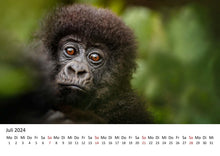 Laden Sie das Bild in den Galerie-Viewer, Edition Seidel Premium Kalender Faszination Gorillas 2024 Format DIN A3 Wandkalender Tierkalender Afrika Regenwald Affen Primaten Wildtiere Waldtiere
