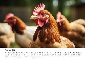 Edition Seidel Premium Kalender Hühner 2024 Format DIN A3 Wandkalender Tierkalender Hühnerkalender Haustiere Huhn Hahn Kücken Vögel