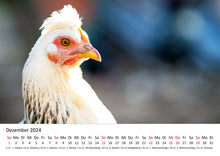 Laden Sie das Bild in den Galerie-Viewer, Edition Seidel Premium Kalender Die Welt der Hühner 2024 Format DIN A3 Wandkalender Tierkalender Hühnerkalender Huhn Hahn Kücken Vögel Haustiere
