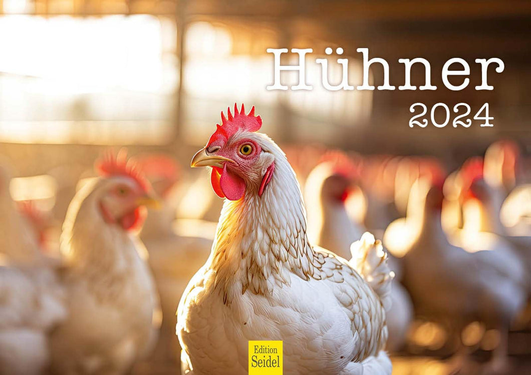 Edition Seidel Premium Kalender Hühner 2024 Format DIN A3 Wandkalender Tierkalender Hühnerkalender Haustiere Huhn Hahn Kücken Vögel