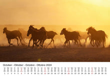 Laden Sie das Bild in den Galerie-Viewer, Edition Seidel Premium Kalender Pferde 2024 Format DIN A3 Wandkalender Pferdekalender Tiere Pferd Pony Stute Hengst Fohlen
