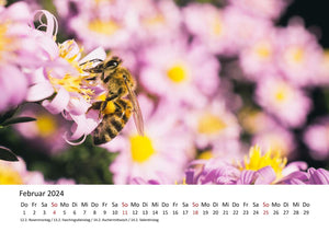 Edition Seidel Premium Kalender Die Welt der Bienen 2024 Format DIN A3 Wandkalender Bienenkalender Biene Insekten Feld Wiese Wald Blume Blüten Honig