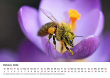 Laden Sie das Bild in den Galerie-Viewer, Edition Seidel Premium Kalender Die Welt der Bienen 2024 Format DIN A3 Wandkalender Bienenkalender Biene Insekten Feld Wiese Wald Blume Blüten Honig
