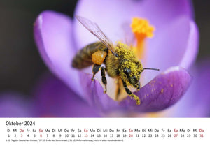 Edition Seidel Premium Kalender Die Welt der Bienen 2024 Format DIN A3 Wandkalender Bienenkalender Biene Insekten Feld Wiese Wald Blume Blüten Honig