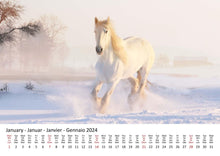 Laden Sie das Bild in den Galerie-Viewer, Edition Seidel Premium Kalender Pferde 2024 Format DIN A3 Wandkalender Pferdekalender Tiere Pferd Pony Stute Hengst Fohlen
