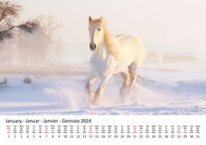 Edition Seidel Premium Kalender Pferde 2024 Format DIN A3 Wandkalender Pferdekalender Tiere Pferd Pony Stute Hengst Fohlen