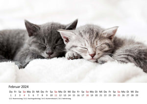 Edition Seidel Premium Kalender Süße Kätzchen 2024 Format DIN A3 Wandkalender Katzenkalender Tiere Katzenkinder Kater Kitten Haustiere