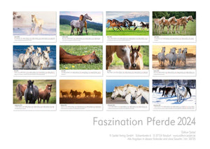 Edition Seidel Premium Kalender Faszination Pferde 2024 DIN A3 Wandkalender Pferdekalender Tiere Pferde Pony Stute Fohlen Natur Landschaft Sonne Strand Weide Koppel Meer