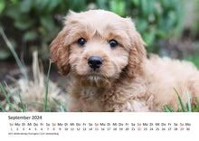 Laden Sie das Bild in den Galerie-Viewer, Edition Seidel Premium Kalender Welpen 2024 Format DIN A3 Wandkalender Hundekalender Weltweit Hund Welpe Hunderasse Haustier
