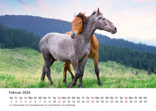 Laden Sie das Bild in den Galerie-Viewer, Edition Seidel Premium Kalender Faszination Pferde 2024 DIN A3 Wandkalender Pferdekalender Tiere Pferde Pony Stute Fohlen Natur Landschaft Sonne Strand Weide Koppel Meer
