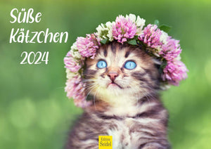 Edition Seidel Premium Kalender Süße Kätzchen 2024 Format DIN A3 Wandkalender Katzenkalender Tiere Katzenkinder Kater Kitten Haustiere