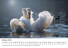 Laden Sie das Bild in den Galerie-Viewer, Edition Seidel Premium Kalender Schwäne 2024 Format DIN A3 Wandkalender Vogelkalender Schwan Küken Wasservögel Vögel Wildvögel Wildtiere
