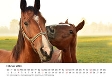 Laden Sie das Bild in den Galerie-Viewer, Edition Seidel Premium Kalender Pferde 2024 Format DIN A4 Wandkalender Pferdekalender Fohlen Stute Hengst Pony Tiere
