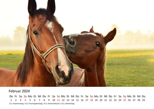 Edition Seidel Premium Kalender Pferde 2024 Format DIN A4 Wandkalender Pferdekalender Fohlen Stute Hengst Pony Tiere