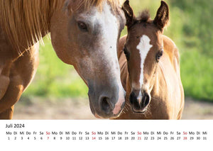 Edition Seidel Premium Kalender Faszination Pferde 2024 DIN A3 Wandkalender Pferdekalender Tiere Pferde Pony Stute Fohlen Natur Landschaft Sonne Strand Weide Koppel Meer