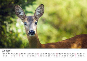 Edition Seidel Premium Kalender Jagd und Wild 2024 Format DIN A3 Wandkalender Tierkalender Wildtier Waldtier Wild Fuchs Hirsch Wildschwein Ente Wald Jagd Revier