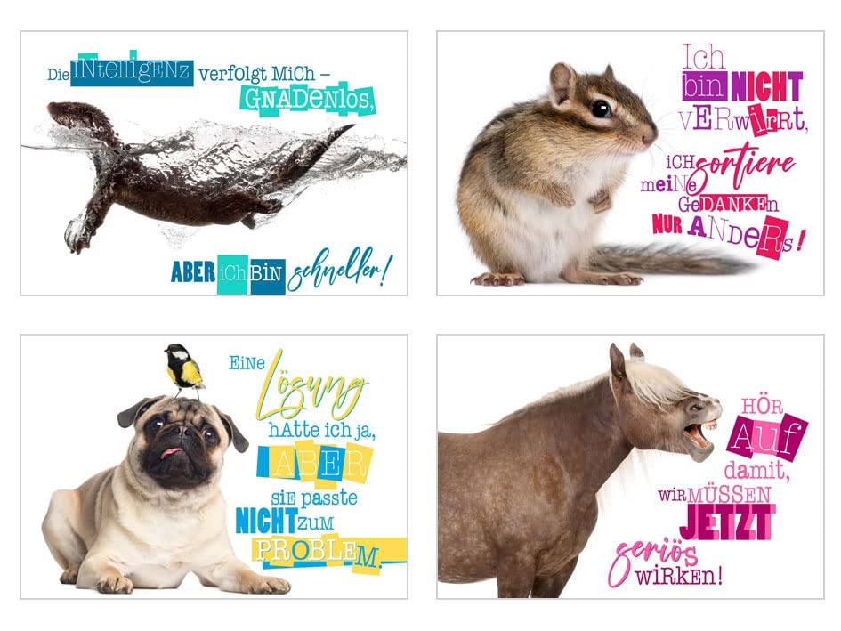 Edition Seidel Set 25 Postkarten Lustige Tiere Mit Spr chen Karten Mi edition-seidel-set-25-postkarten-lustige-tiere-mit-spr-chen-karten-mi